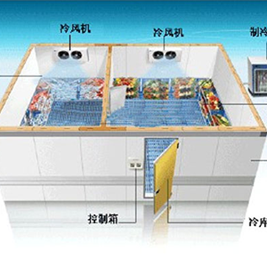 大庆冷库展示图